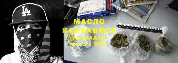 индика Медногорск