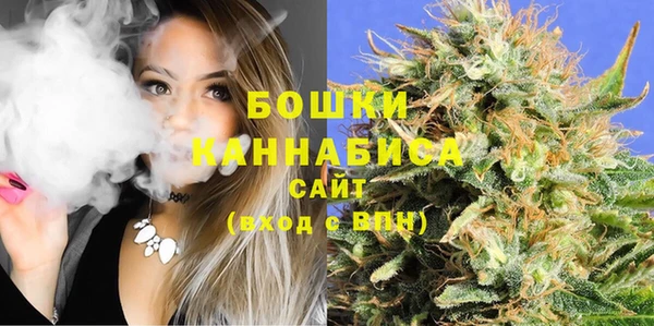 spice Михайлов