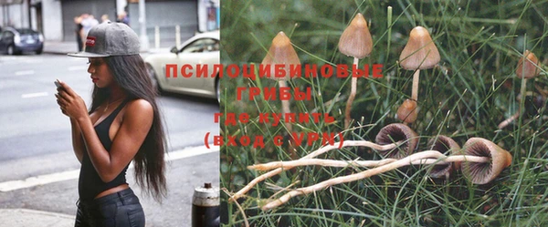 альфа пвп Пестово