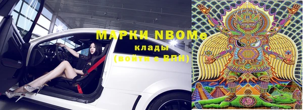 эйфоретик Пересвет