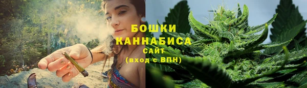 spice Михайлов