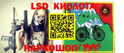 прущие грибы Бийск