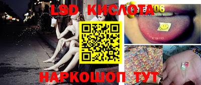 прущие грибы Бийск