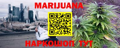 прущие грибы Бийск