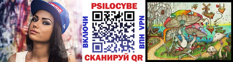 Галлюциногенные грибы Psilocybine cubensis  omg как зайти  Улан-Удэ  сколько стоит 