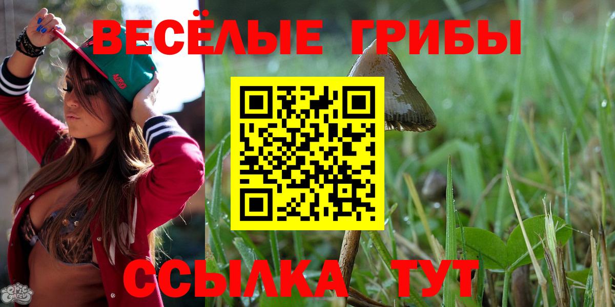 Галлюциногенные грибы Psilocybine cubensis Улан-Удэ