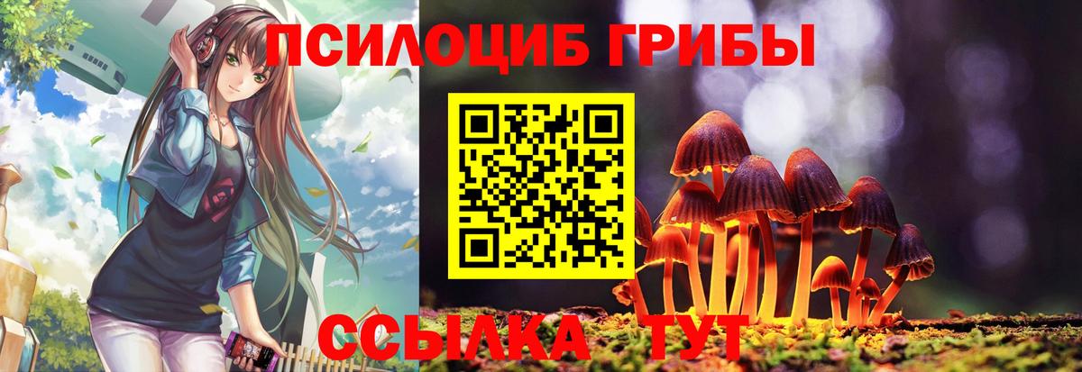 Галлюциногенные грибы Psilocybine cubensis  Вход с VPN  Улан-Удэ  Псилоцибиновые грибы мухоморы 